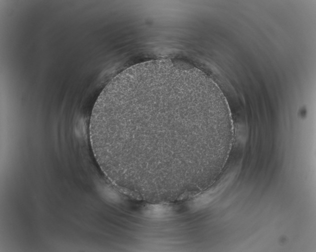 X0000116440286201001191538