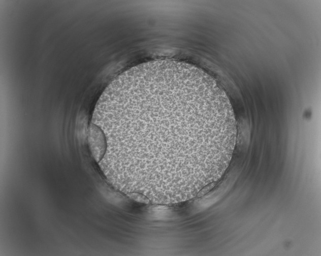 X0000116440287201001191538