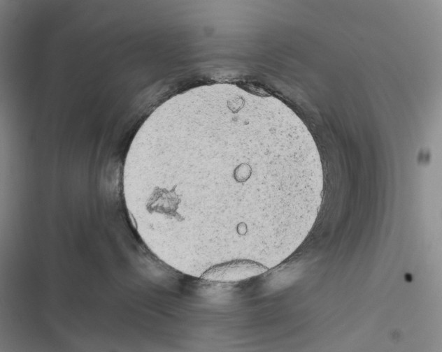 X0000116440288201001191538