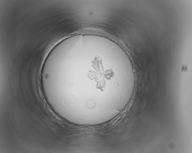 X0000116440289201001191537