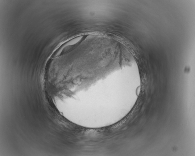 X0000116440290201001191537