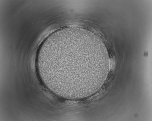 X0000116440291201001191537