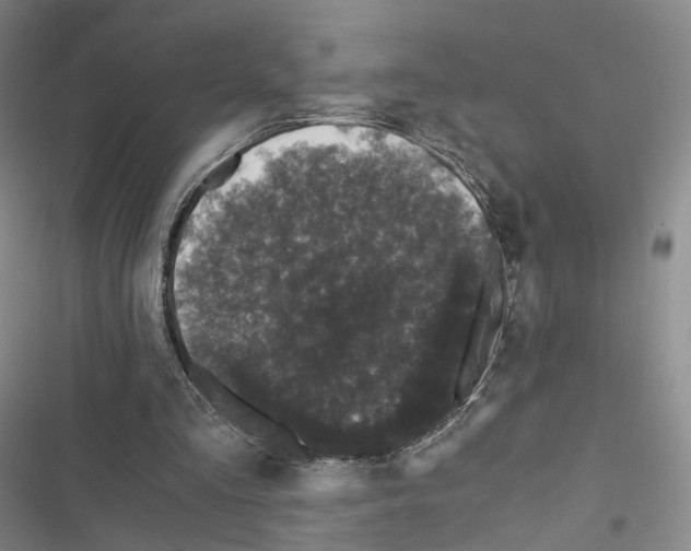 X0000116440293201001191537