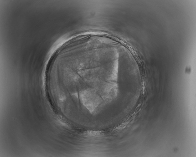 X0000116440296201001191537