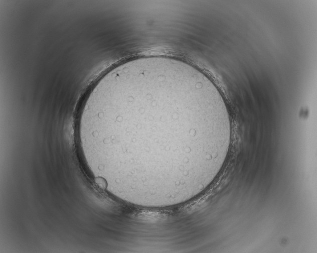 X0000116440298201001191537