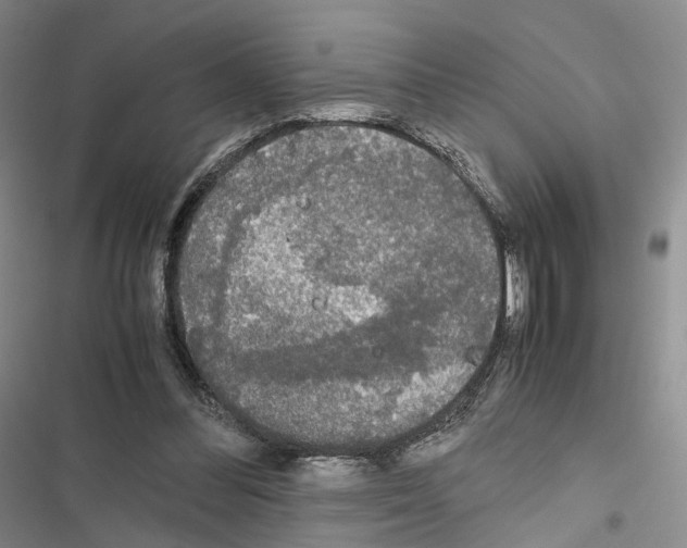 X0000116440300201001191537