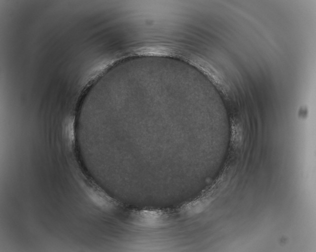 X0000116440302201001191537