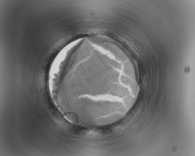 X0000116440303201001191537