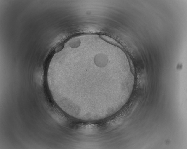 X0000116440304201001191537