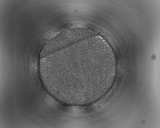 X0000116440305201001191537