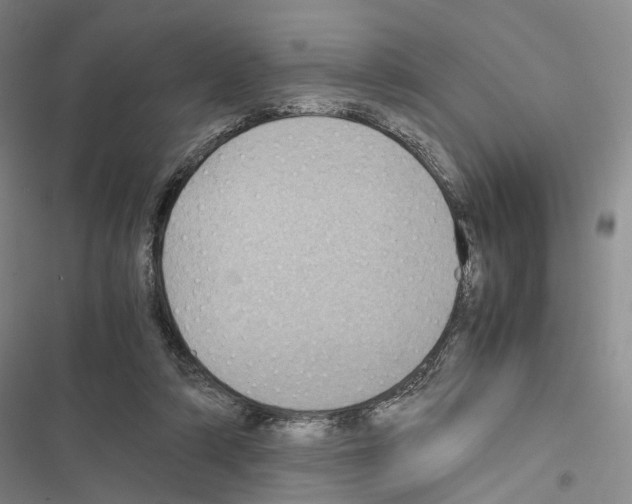 X0000116440306201001191537