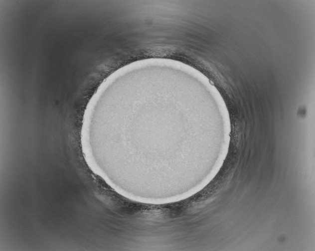 X0000116440307201001191537