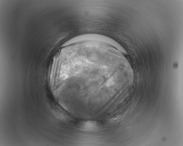 X0000116440308201001191537