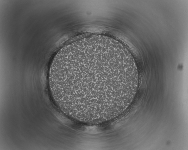 X0000116440309201001191537