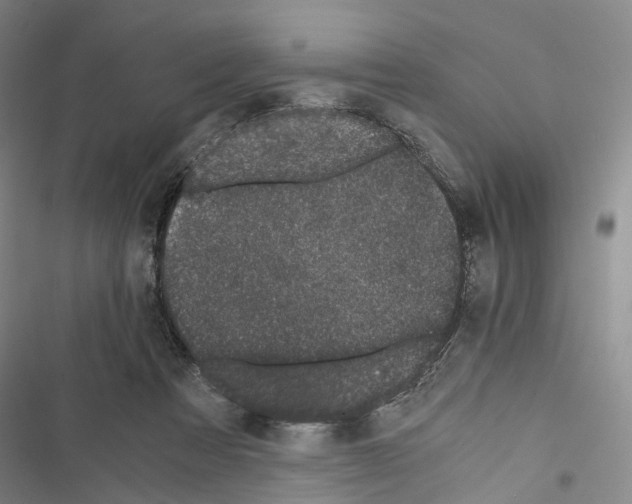 X0000116440313201001191537