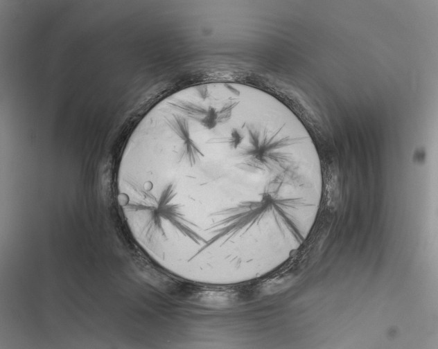 X0000116440314201001191537