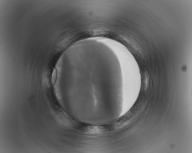 X0000116440316201001191537