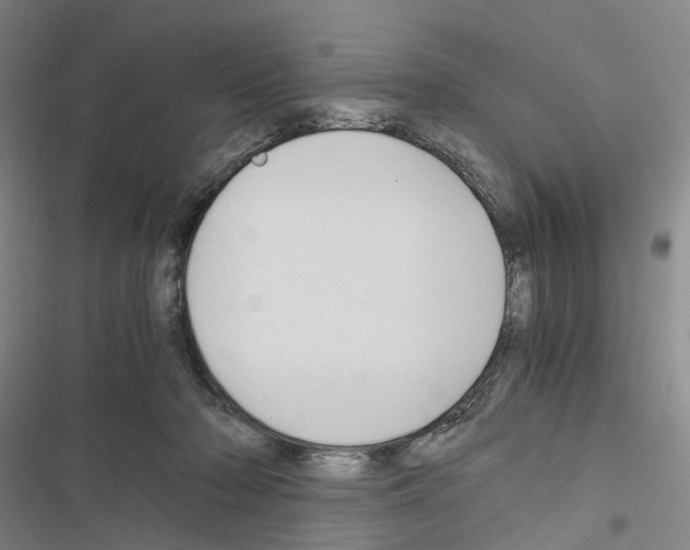 X0000116440318201001191537