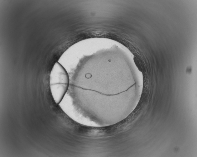 X0000116440319201001191537