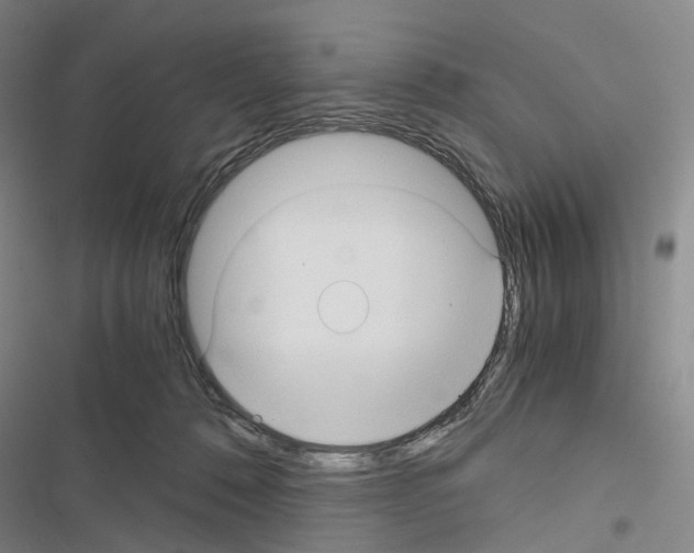 X0000116440320201001191537