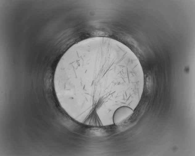 X0000116440322201001191537