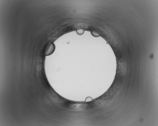 X0000116440323201001191537