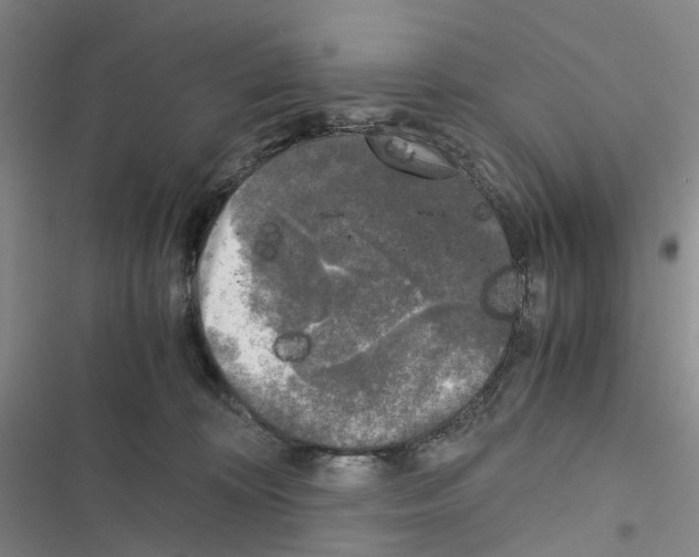 X0000116440324201001191537