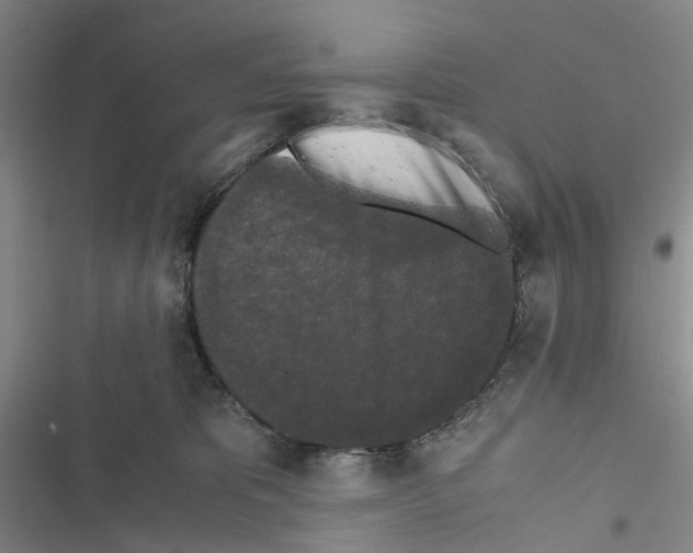 X0000116440325201001191537