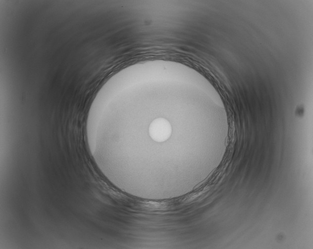 X0000116440328201001191537