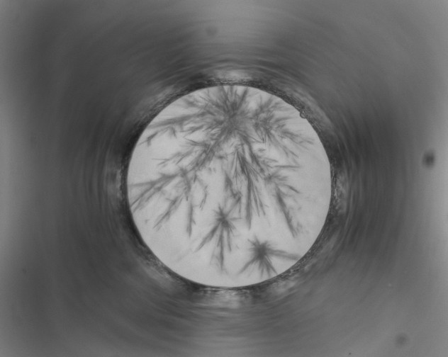 X0000116440330201001191537