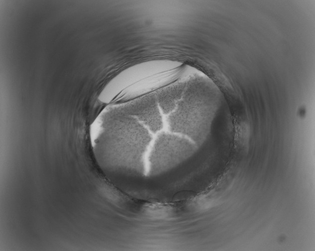 X0000116440331201001191537