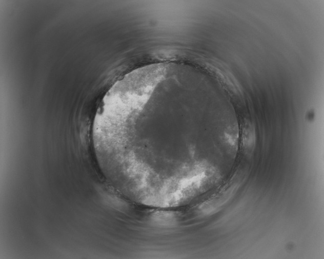 X0000116440332201001191537