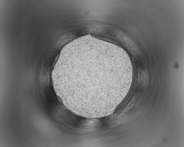 X0000116440333201001191537