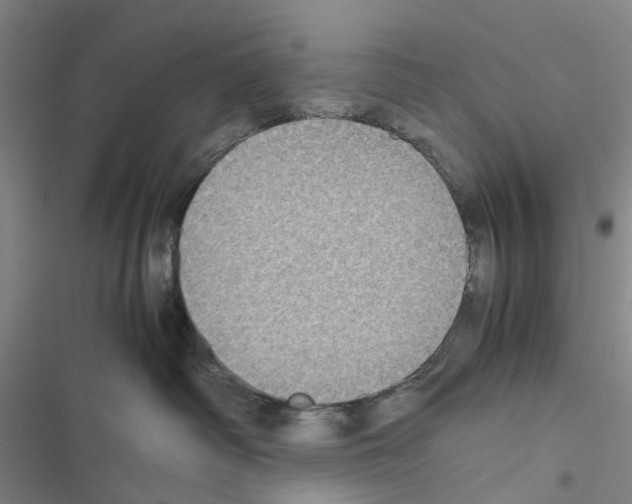 X0000116440334201001191537