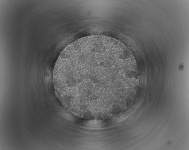 X0000116440335201001191537