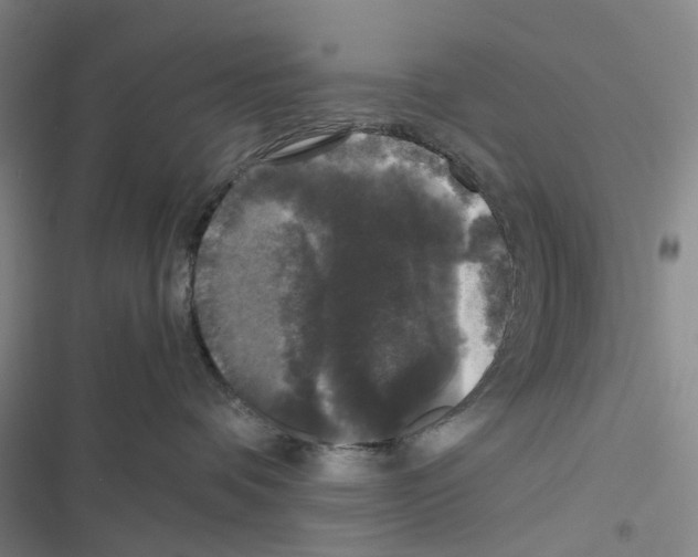 X0000116440336201001191537