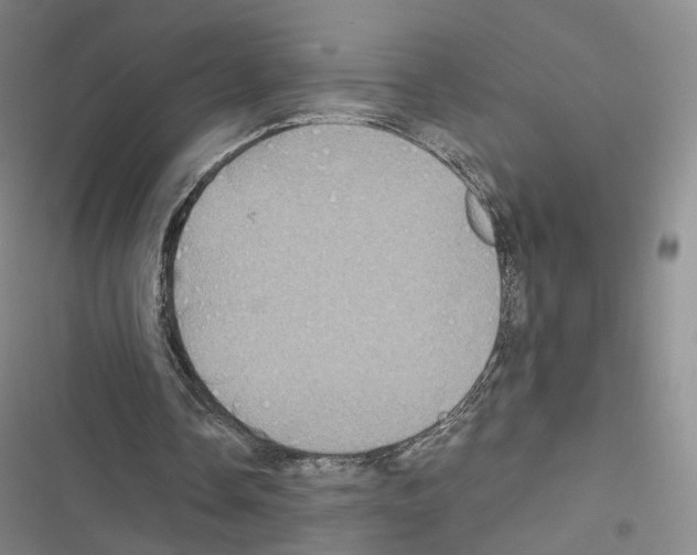 X0000116440338201001191536