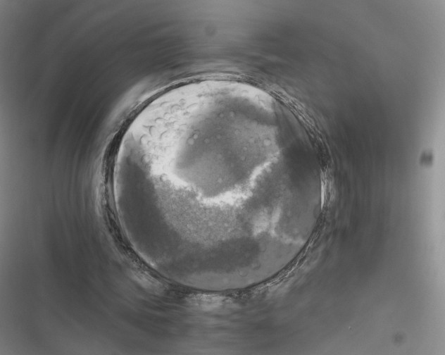 X0000116440339201001191536