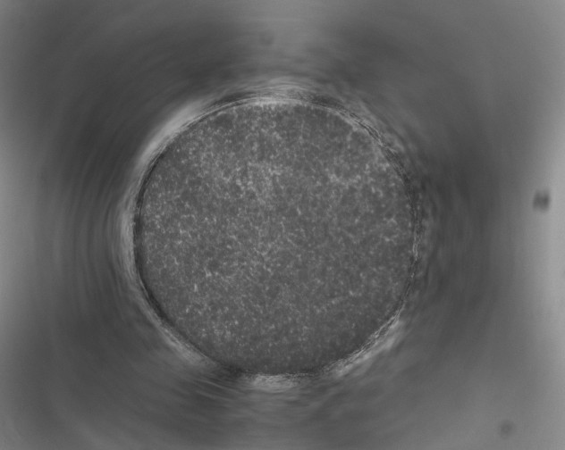 X0000116440341201001191536