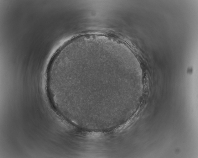 X0000116440342201001191536