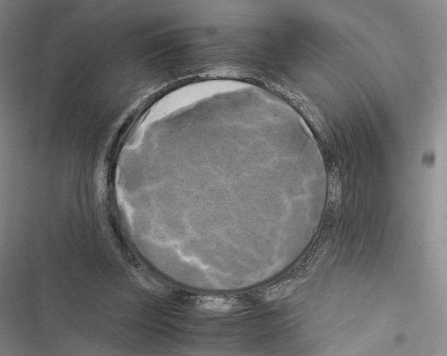 X0000116440347201001191536