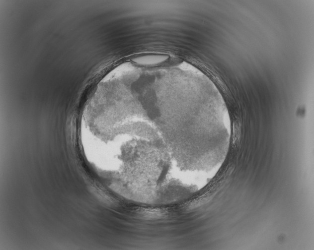 X0000116440349201001191536