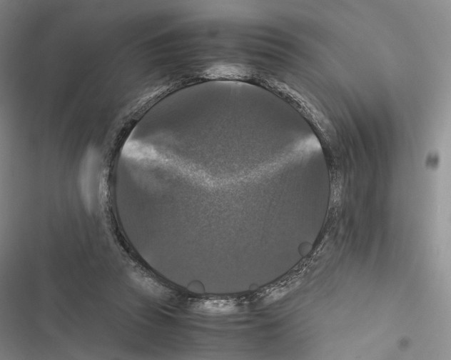 X0000116440353201001191536