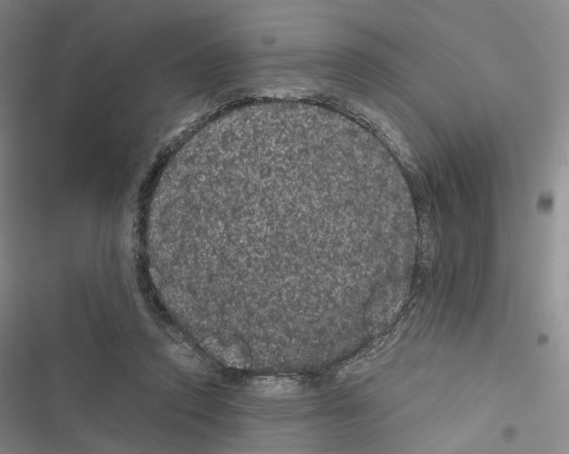 X0000116440354201001191536