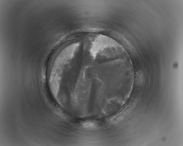 X0000116440358201001191536