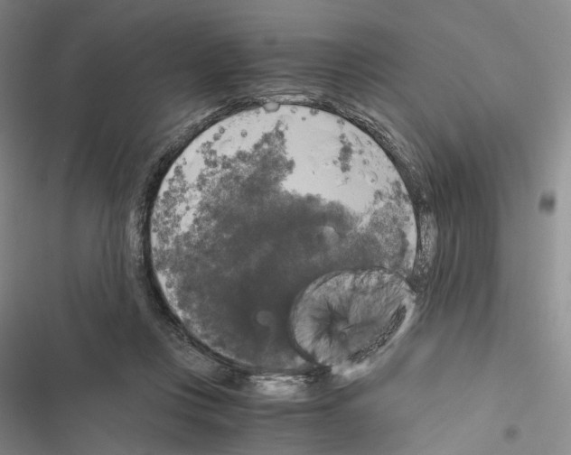 X0000116440359201001191536