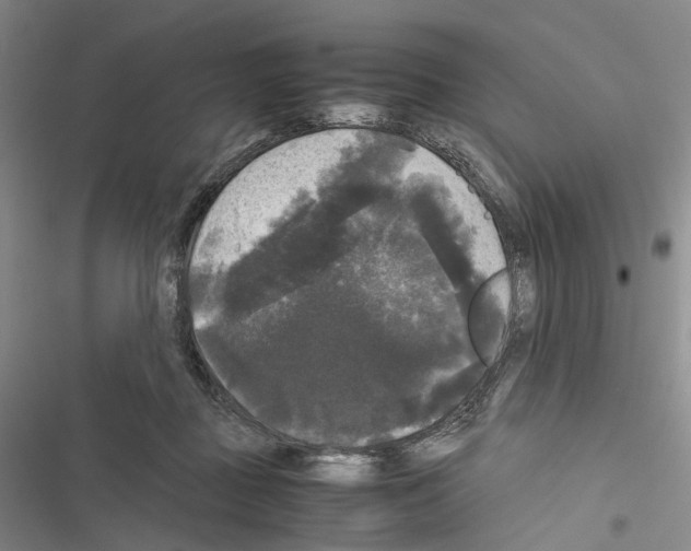 X0000116440363201001191537