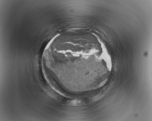 X0000116440366201001191537