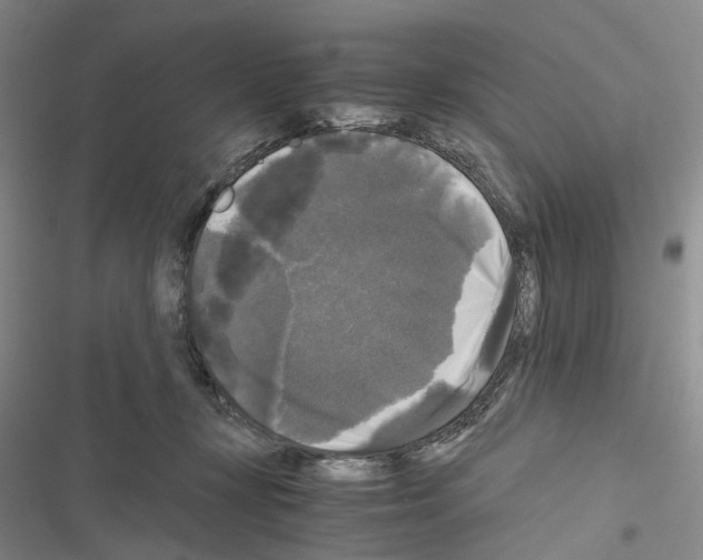 X0000116440367201001191537