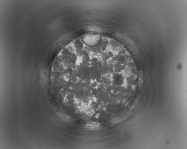 X0000116440369201001191537